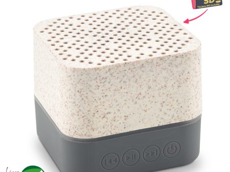 SPEAKER BLUETOOTH LIGHTS ECO